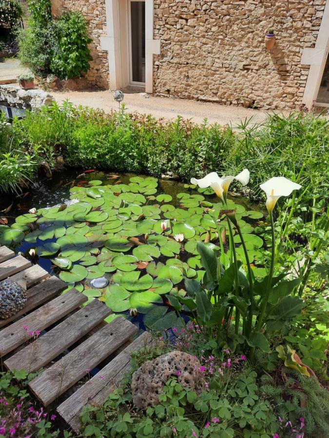 Le Cocon Bed and Breakfast Saint-Paul-les-Fonts Buitenkant foto